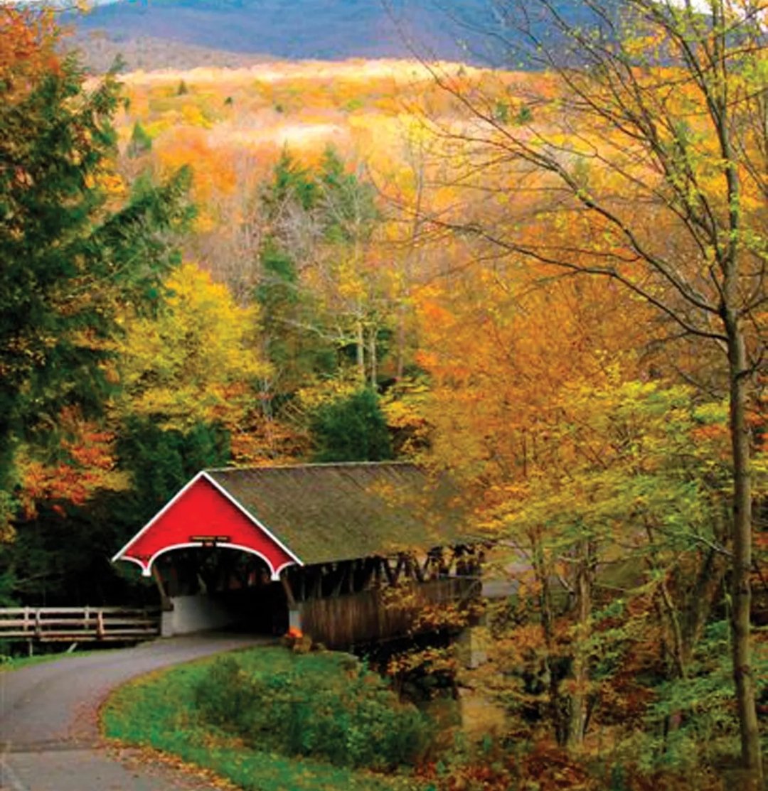 lilkickin's tweet photo. @LakotaMan1 New Hampshire here!!  We got you! https://t.co/34OmnicUxq