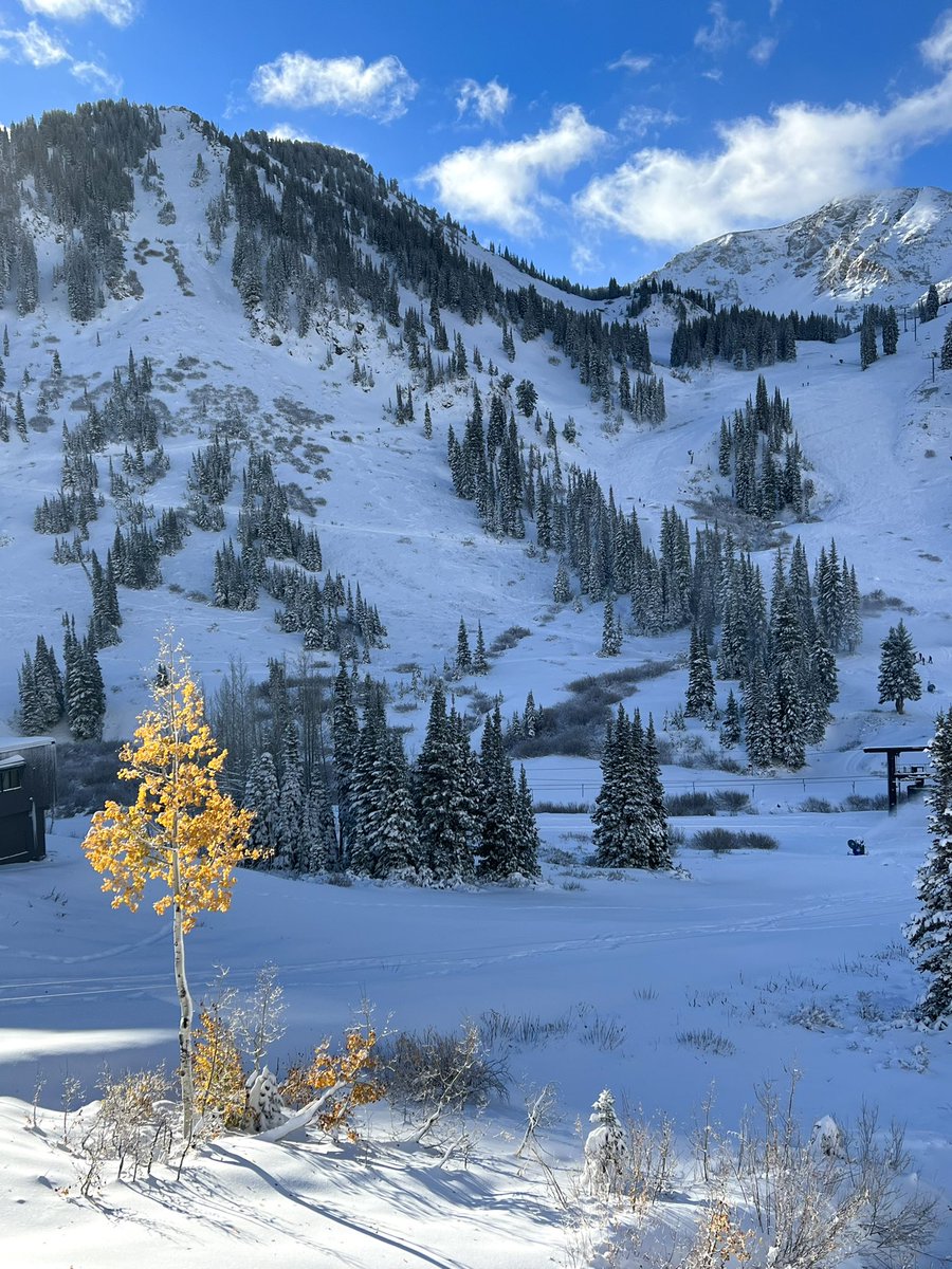 AltaSkiArea's tweet photo. Good morning from Alta. https://t.co/Lsq4CCEGds