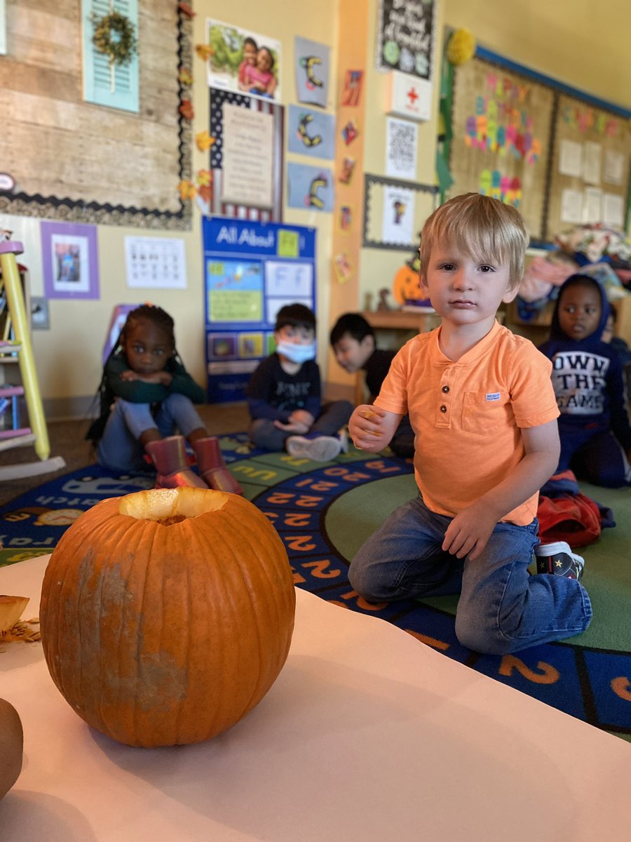 ELC RCA on Twitter "Pumpkin Dissection science pumpkindissection 