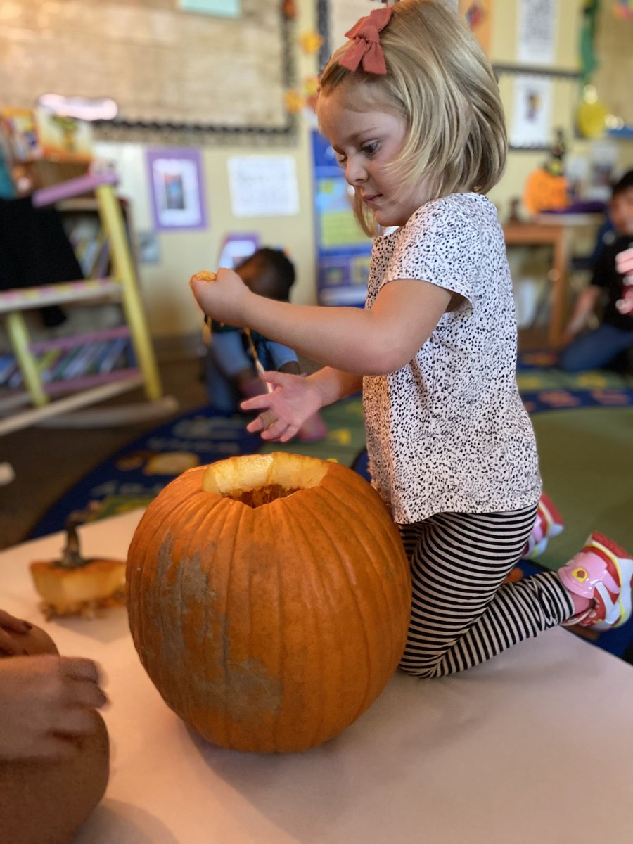 ELC RCA on Twitter "Pumpkin Dissection science pumpkindissection 