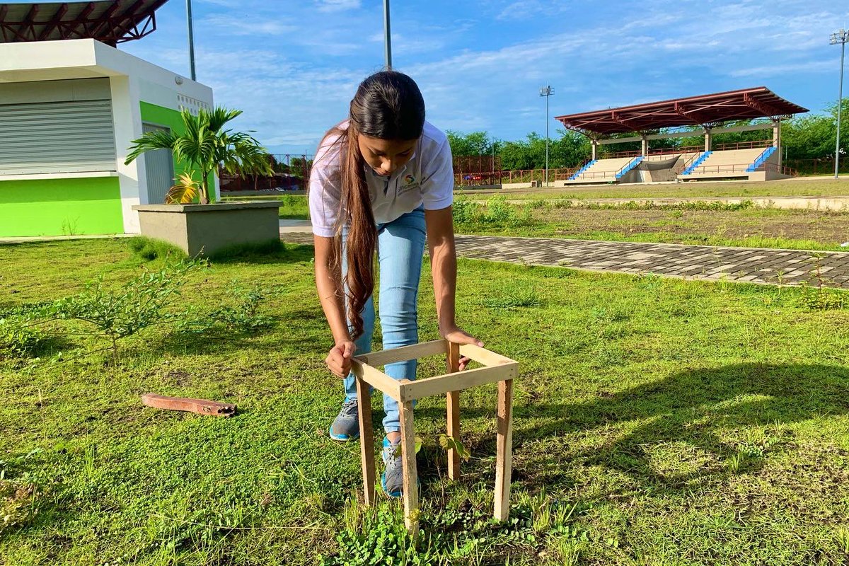 sec_ambiente's tweet photo. Durante una jornada de arborización con el @ImderSincelejo_ sembramos oxígeno🌳 en el Complejo Deportivo Libertad, contribuyendo a la preservación del ambiente. 
¡Cuidarlo es responsabilidad de todos! 
#TransformamosAmbiente https://t.co/Bfj4o2qubc