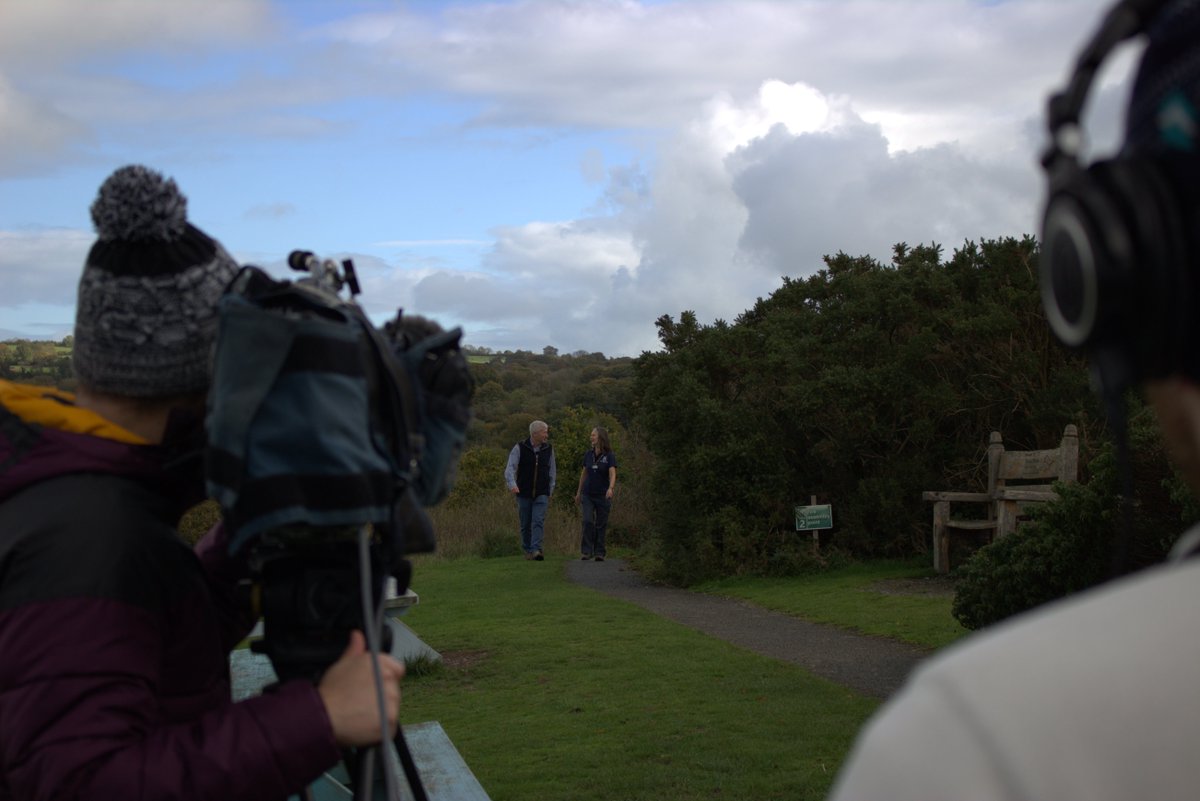 WildlifeTrustSWWales 🦡🐬 tweet media