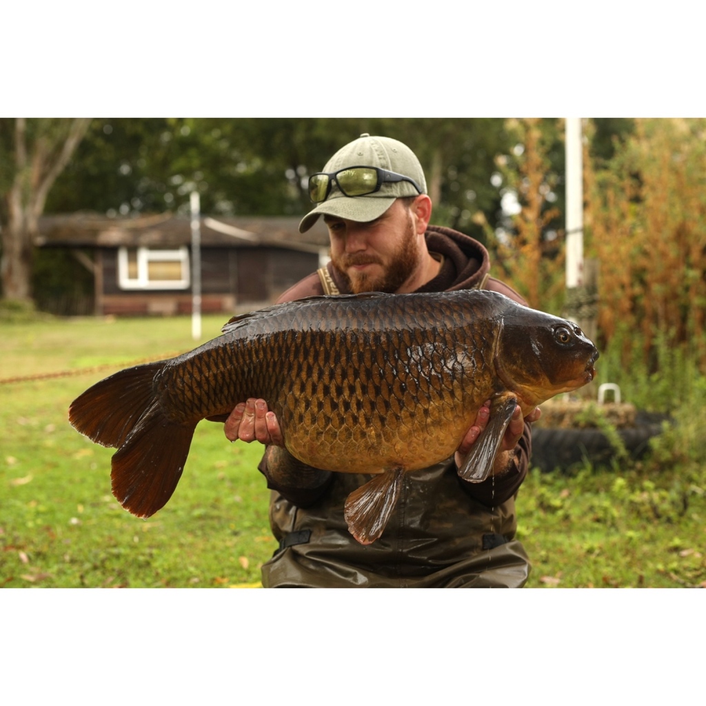 StickyOfficial's tweet photo. By no means an easy water to get your teeth into, but Lance Barton's time in Reading has been well worthwhile thus far after yet another cool character came his way with this snub-nosed common.

#TheKrill #StickyBaits #TestBait https://t.co/Z6Tbrj5viR