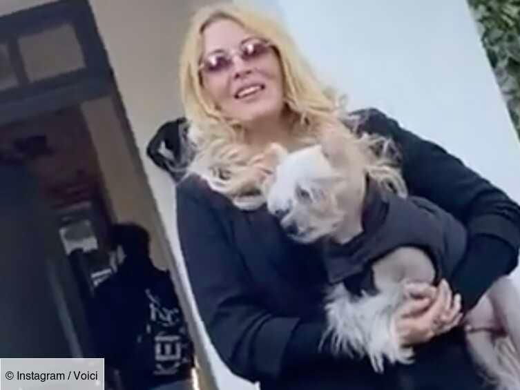 voici's tweet photo. Loana pose avec son chien Titi : pourquoi certains internautes l’accusent de maltraitance https://t.co/1F4ADdXyjm https://t.co/5U9wRRNq2y