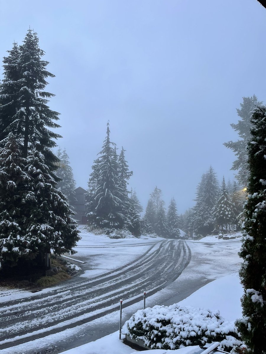 BrittanyRoffel's tweet photo. Looks like we've skipped fall up here in Whistler and gone straight to winter! @GoWhistler https://t.co/d9hpf8IbgB