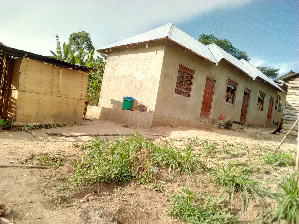 Engineering my profession