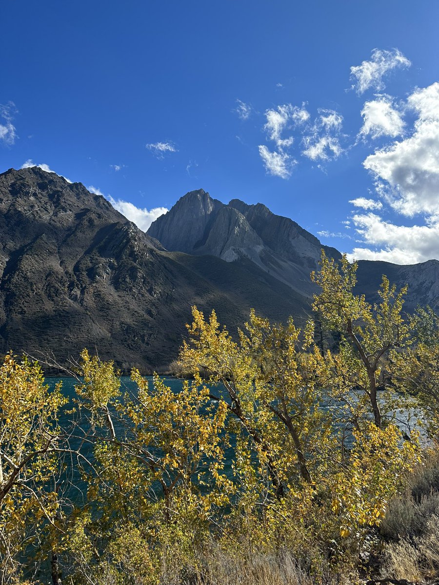 Mammoth lakes 💛