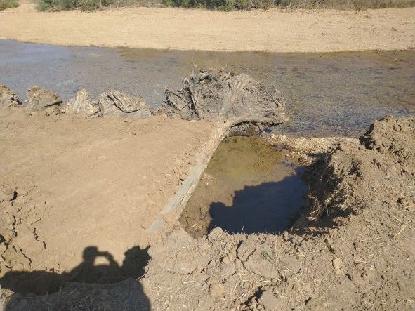 NatureConservancy_MO tweet media