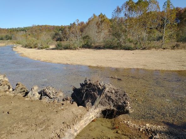 NatureConservancy_MO tweet media