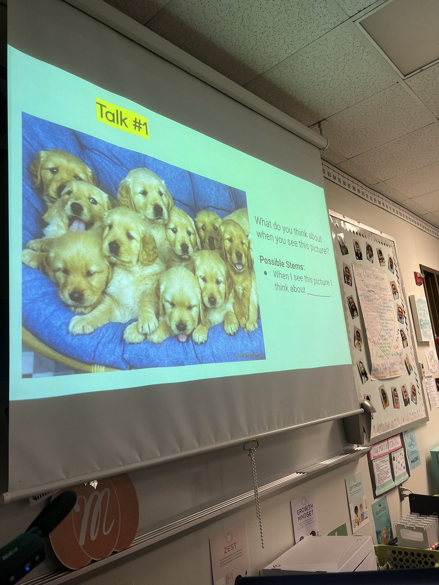 Taylor McCool tweet media