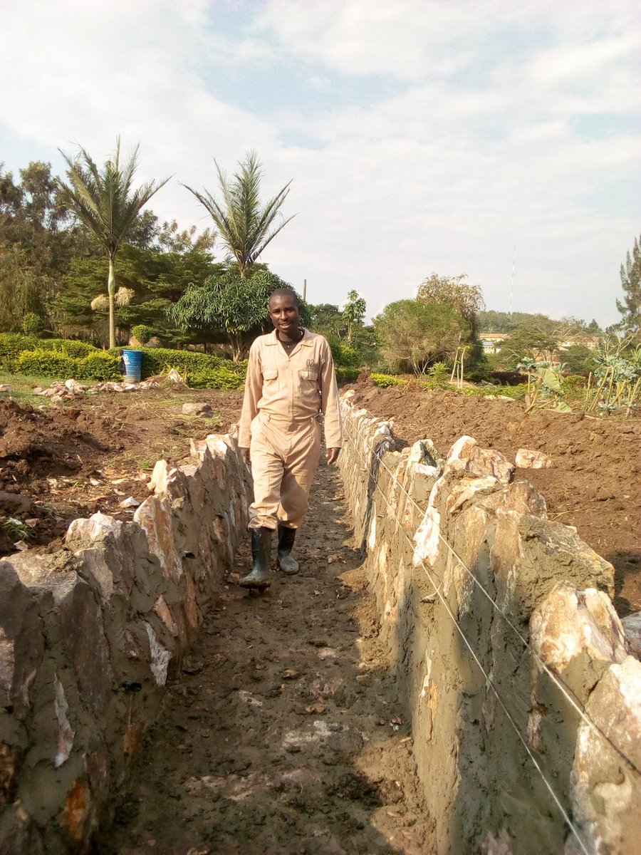 Engineering my profession