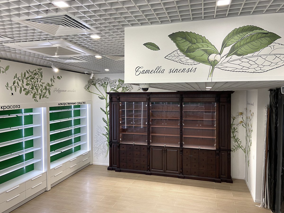 annachilina's tweet photo. Commissioned mural for a pharmacy https://t.co/JeQVUeHQiW