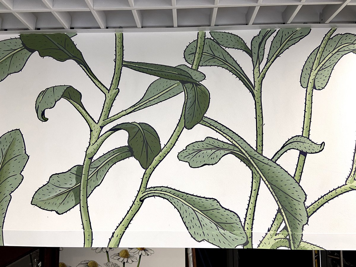 annachilina's tweet photo. Commissioned mural for a pharmacy https://t.co/JeQVUeHQiW