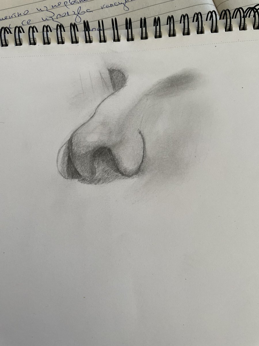 teipay's tweet photo. Might’ve made the nostril a bit too big but I feel like nose study is going well 😤 #art #nose #nosestudy #artstudy https://t.co/R8oNrOcVgj