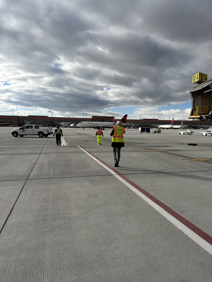 Stephanie tweet media