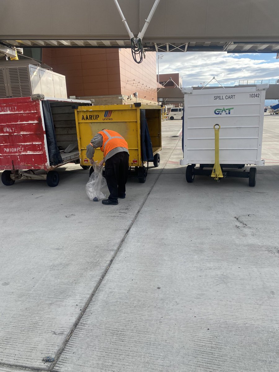 Stephanie tweet media