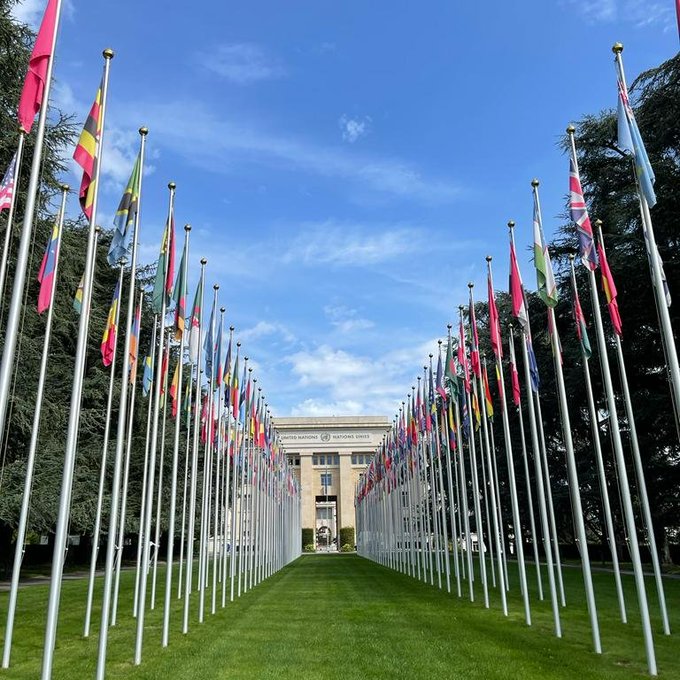MOPANnetwork's tweet photo. On this #UNDay, we celebrate the progress made year after year towards achieving greater #multilateraleffectiveness.
As UN Agencies work to deliver on their mandates, MOPAN assessments help our members keep them on track.
Check out our recent assessments➡️https://t.co/3mpHb3WOtm https://t.co/jC2sNrV85J