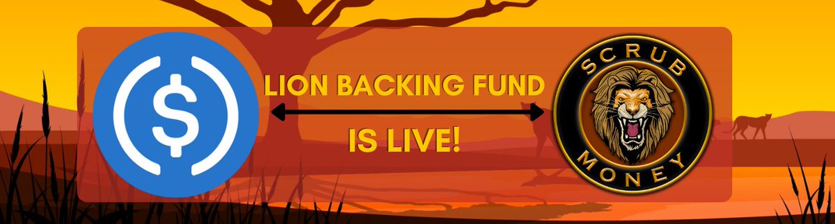 ScrubMoneyDeFi's tweet photo. 🚨 WE JUST KICKSTARTED THE $LION BACKING FUND

Scrub Money Revolution begins here! Let's build a new #Web3 paradigm together! 💪

You will be able to track it from our website here 👇

https://t.co/gbMVi5fPsX

More info in 🧵

#Kava #KavaRise #Kavalry #CroFam https://t.co/tksqcSm1eB