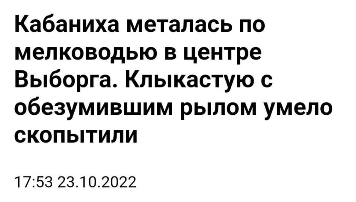 μετάpolice on Twitter: \"Девчонки, кто? https://t.co/lCNolRBgiB\" / Twitter