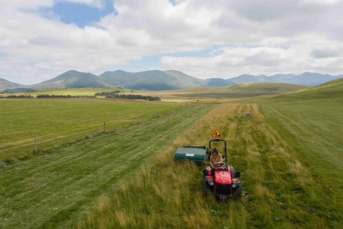 CENAuvergne's tweet photo. Visio #IPAMAC réseau PNR Massif central, #CBN MC & @CENAuvergne : échanges perspectives travail en commun / prairies naturelles & changement climatique. Semences locales, résilience prairies, qualités organoleptiques des produits https://t.co/4z5mXBQYzE #paturagesdumassifcentral https://t.co/Pb1CwXbDjd