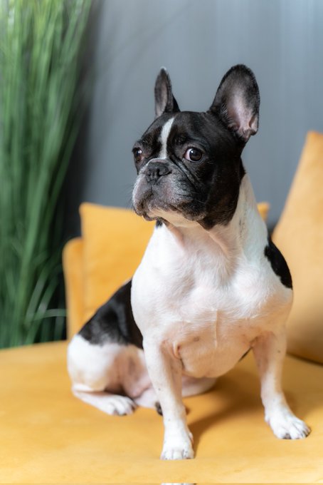 Happy birthday my sweety baby🥰😘😘, 7 years of snoring and farting🤣🤣 https://t.co/aCS4Yd5rgA<a href="/tag/thursdayvibes"class="tags"><span>#thursdayvibes</span></a><a href="/tag/pantyhoseaddict"class="tags"><span>#pantyhoseaddict</span></a><a href="/tag/pantyhosefri"class="tags"><span>#pantyhosefri</span></a>
