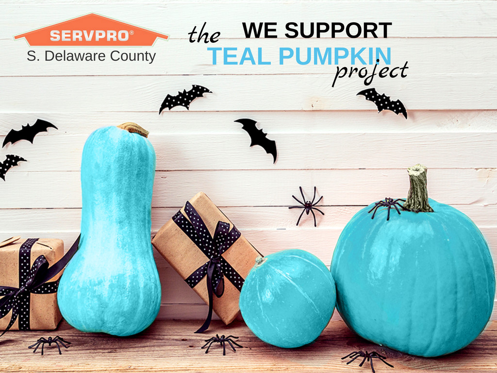 WCservpro's tweet image. We support our community, and we support the #TealPumpkinProject too!
The TPP is a worldwide movement to create a safer, happier Halloween for all kids, including the ones with food allergies. Get ready for #Halloween 👻