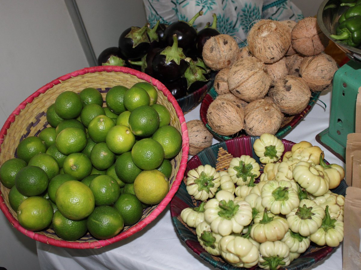 PNUDSenegal's tweet image. #Relanceverte
#Economieverte
🔗bit.ly/3MheBSF

Comment ↗️:
☑️📈 économ.
☑️Opportunités d'emploi🌱
☑️Egalité

@PNUDSenegal appuie 🇸🇳 ➡️ renforcer la résilience des communautés surtout les ♀️  aux chocs climatiques &amp;amp; #COVID19

@medd_gouv_sn
@UNDPAfrica
@OnuSenegal