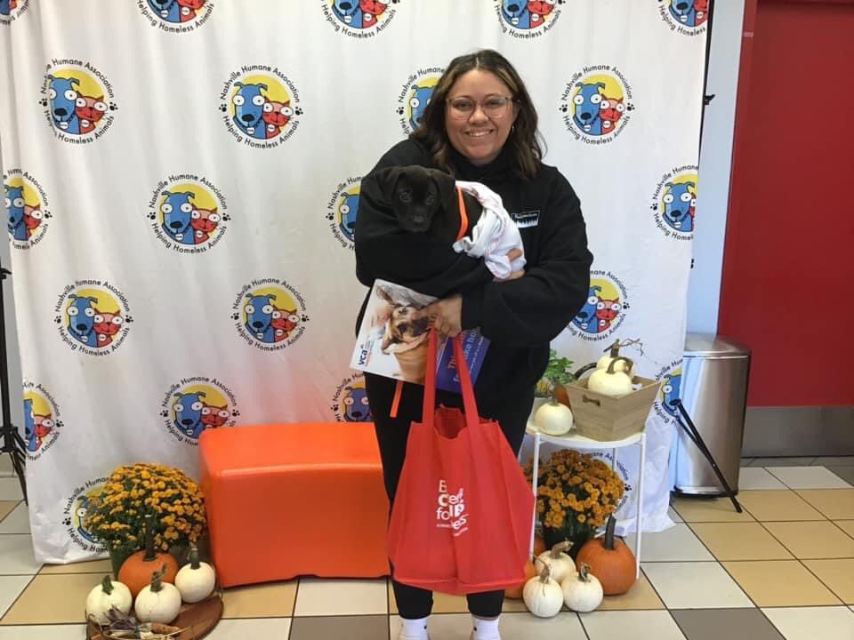 nashvillehumane's tweet photo. Thanks to @MarsPetcareUS + @PedigreeFound we had over 100 sponsored adoptions during the #ServiceHumansNeeded Adoption Event! Please enjoy this thread of GOTCHA DAY pics from Friday. (get ready for a Sat &amp; Sun thread too) PS: We’ll post the exact weekend total in Sunday’s thread! https://t.co/qkHiB6pWJq