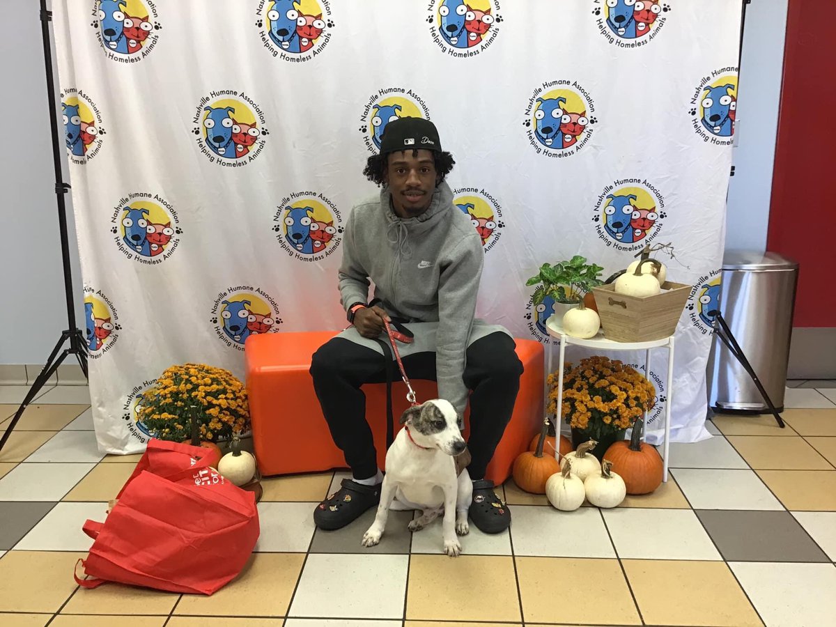 nashvillehumane's tweet photo. Thanks to @MarsPetcareUS + @PedigreeFound we had over 100 sponsored adoptions during the #ServiceHumansNeeded Adoption Event! Please enjoy this thread of GOTCHA DAY pics from Friday. (get ready for a Sat &amp; Sun thread too) PS: We’ll post the exact weekend total in Sunday’s thread! https://t.co/qkHiB6pWJq