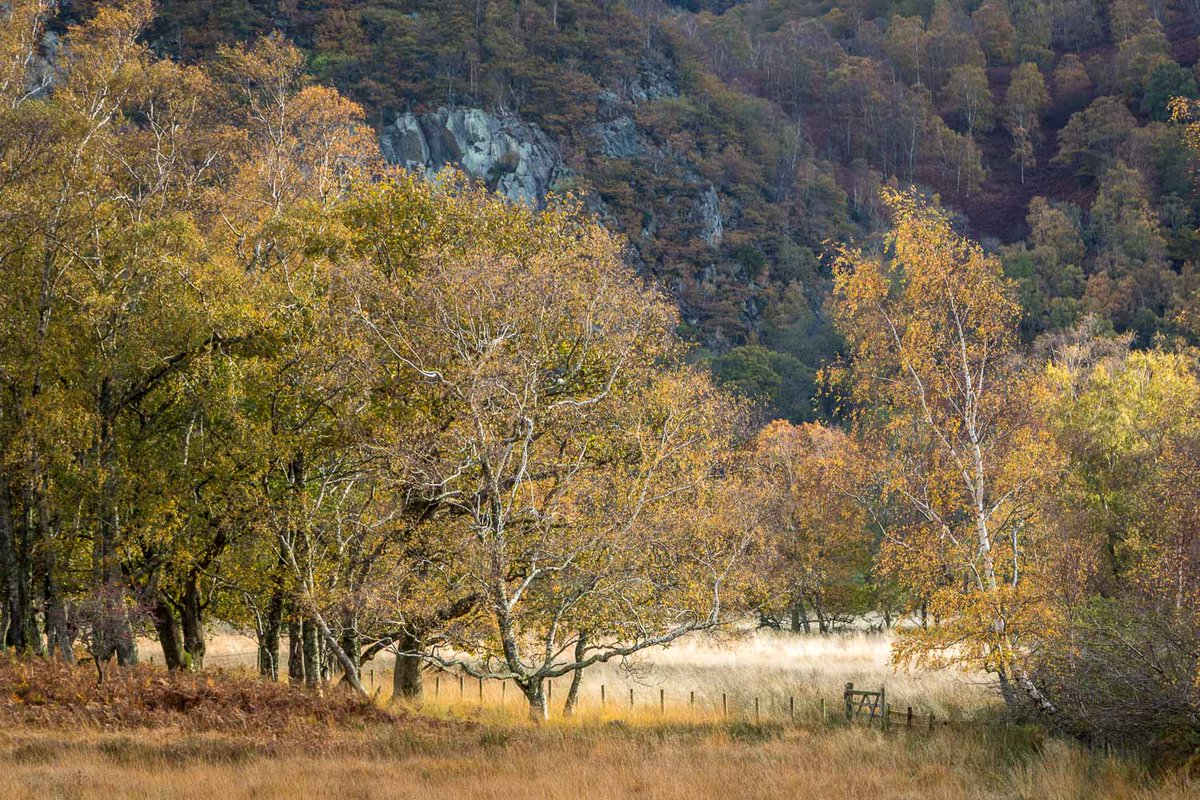 Autumn scenes from the #lakedistrict