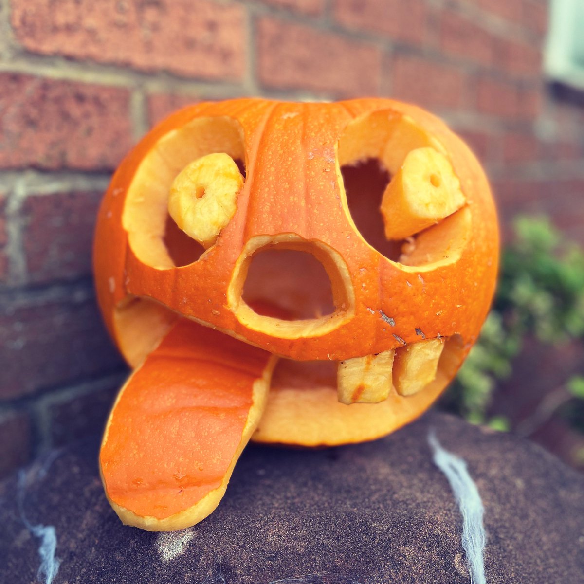 mistfall31's tweet photo. Itโs been a pumpkin carving kinda day!! #spewing #razorteeth #stitchedup #goofingaround Edwards kids pumpkins 2022 https://t.co/ueqLSV6Bl2