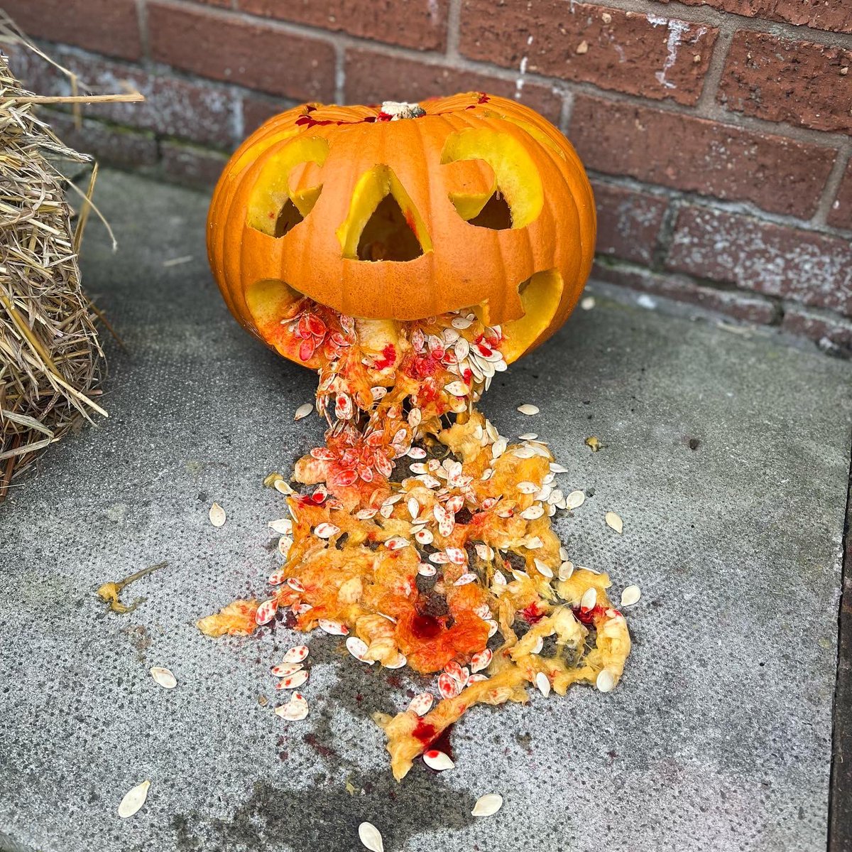 mistfall31's tweet photo. Itโs been a pumpkin carving kinda day!! #spewing #razorteeth #stitchedup #goofingaround Edwards kids pumpkins 2022 https://t.co/ueqLSV6Bl2