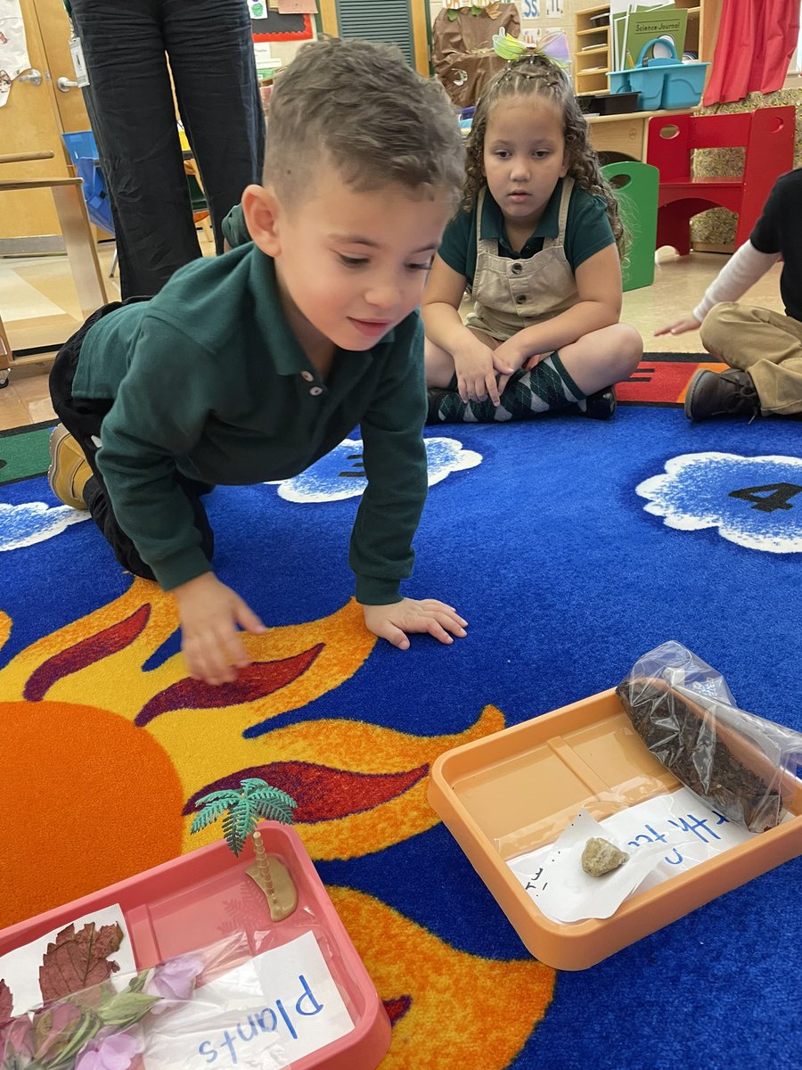 LaurenToffel's tweet photo. Exploring with the environment. Sorting, observing and writing! #rm206 #jmfeclc #TogetherWeCa https://t.co/hkBHyJtgFg