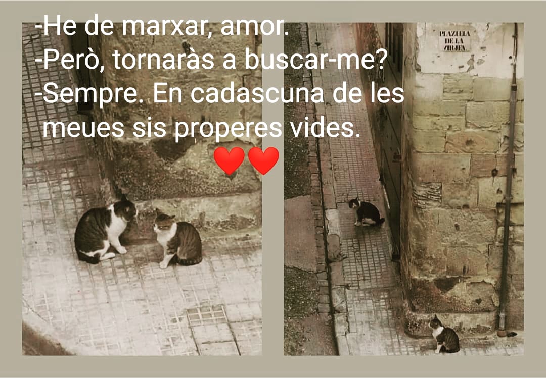 encarnaferro's tweet photo. https://t.co/hgiBalENkE