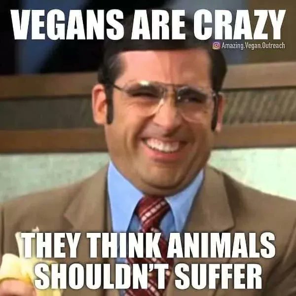 VerdellsVegan's tweet photo. #vegan #eatvegan #eatvegetables #eatveggies #veganrecipes #verdellsvegan #plantbasedfood https://t.co/dJusuJ5pK8