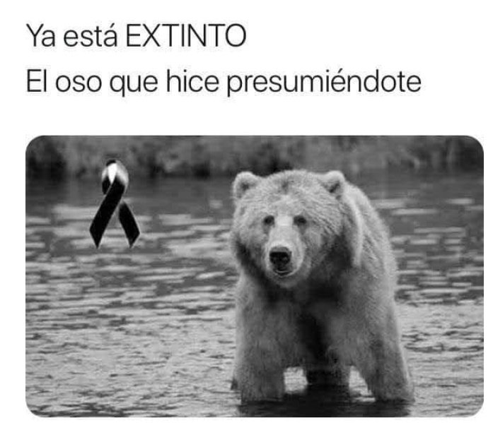 Michell22690532's tweet photo. Una empieza así 🤭😍 y termina así 🤡🤡🤡 jajajaja 🤣 https://t.co/SHSgG182Gu