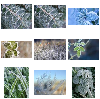 BE1500's tweet photo. frost
https://t.co/aYv8Jda1m9 https://t.co/0mtxjEBlrn