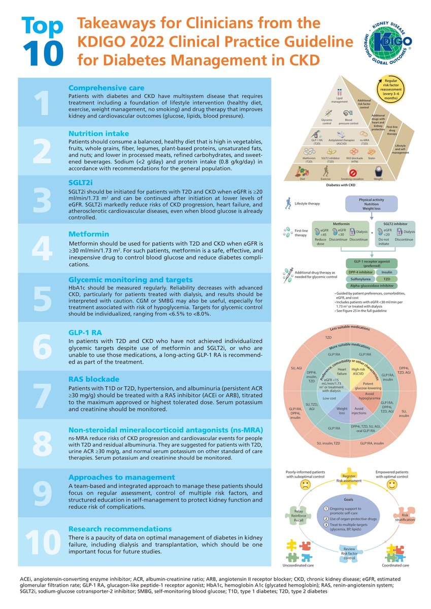 Check out the KDIGO 2022 #Diabetes in #CKD Guideline Top 10 Takeaways for Clinicians, which highlight key points from each chapter of the Diabetes Guideline: kdigo.co/Diabetes-CKD-G… For additional resources, visit the KDIGO Diabetes Guideline website: kdigo.org/guidelines/dia…