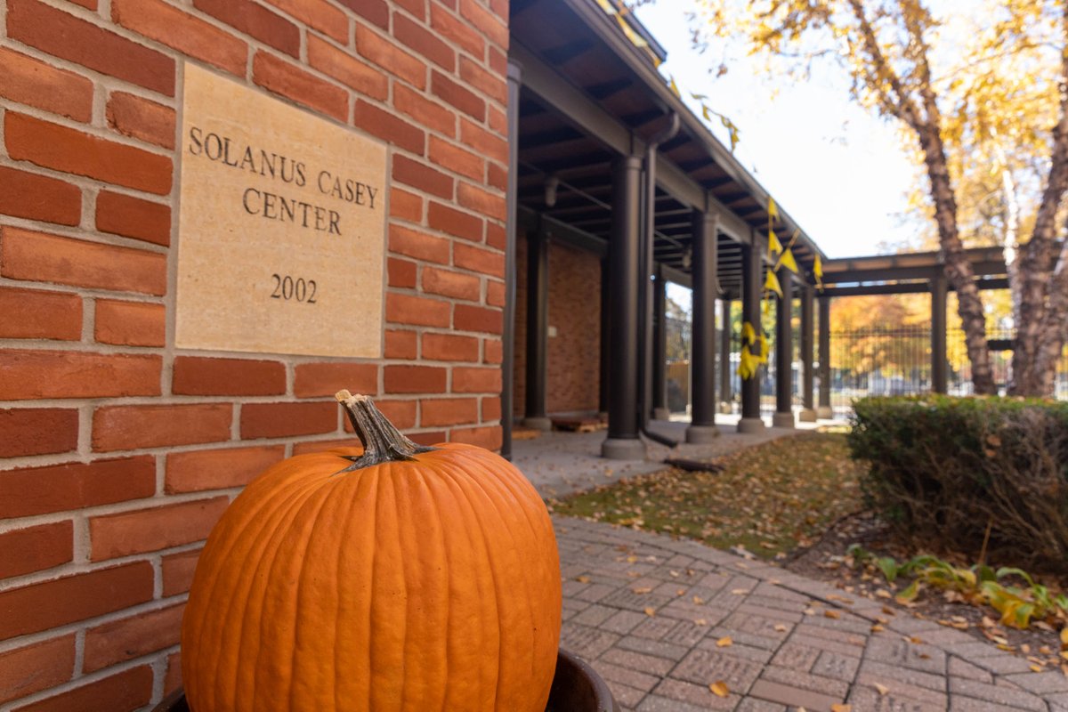 Blessed Solanus Casey tweet media