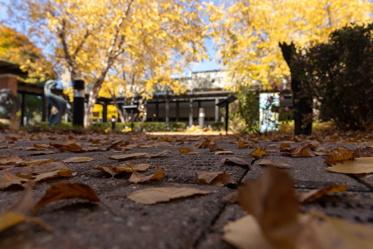 Blessed Solanus Casey tweet media