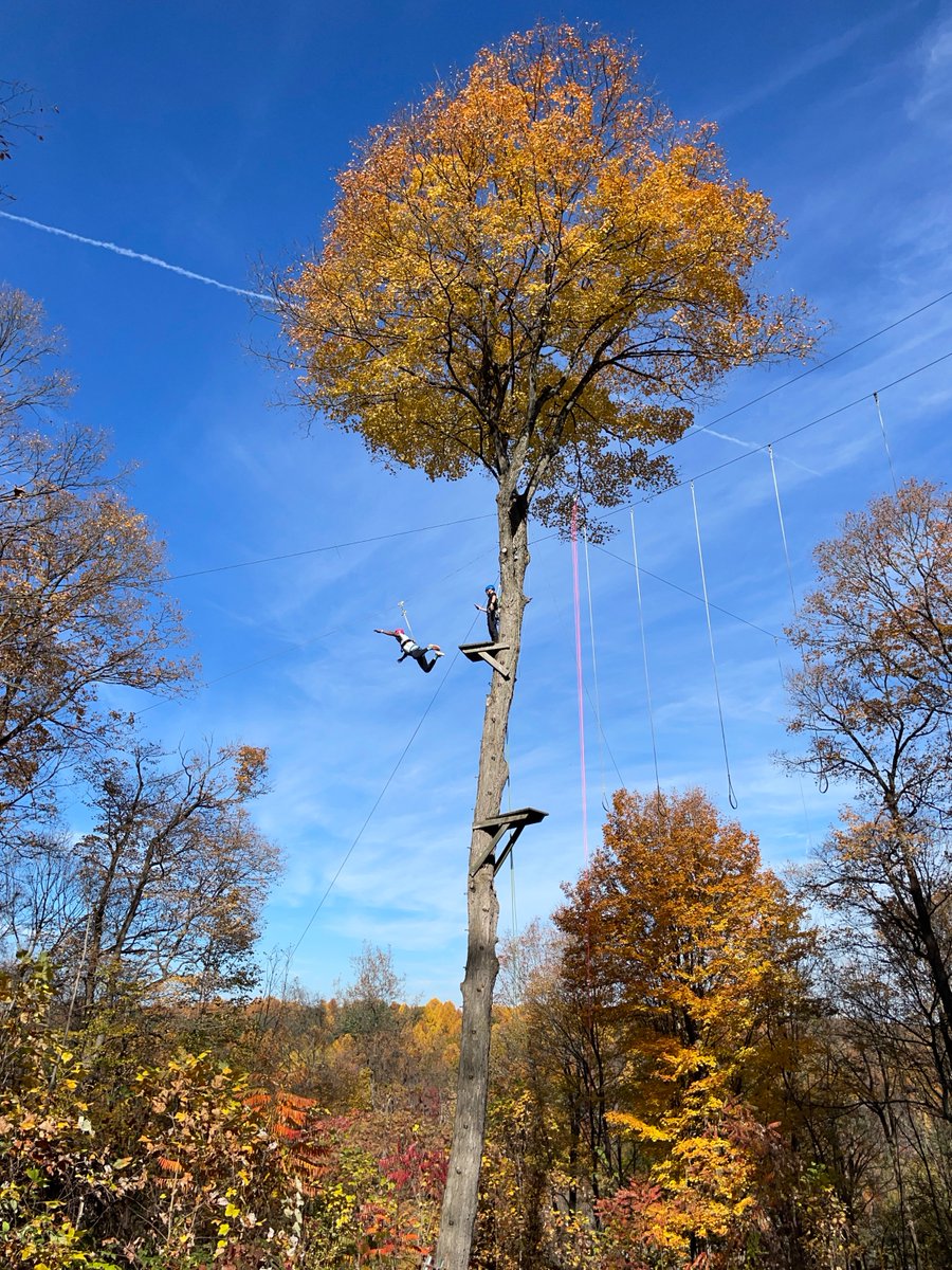 Orenda Springs tweet media