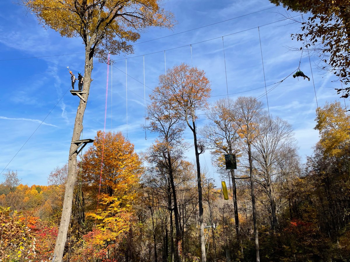 Orenda Springs tweet media