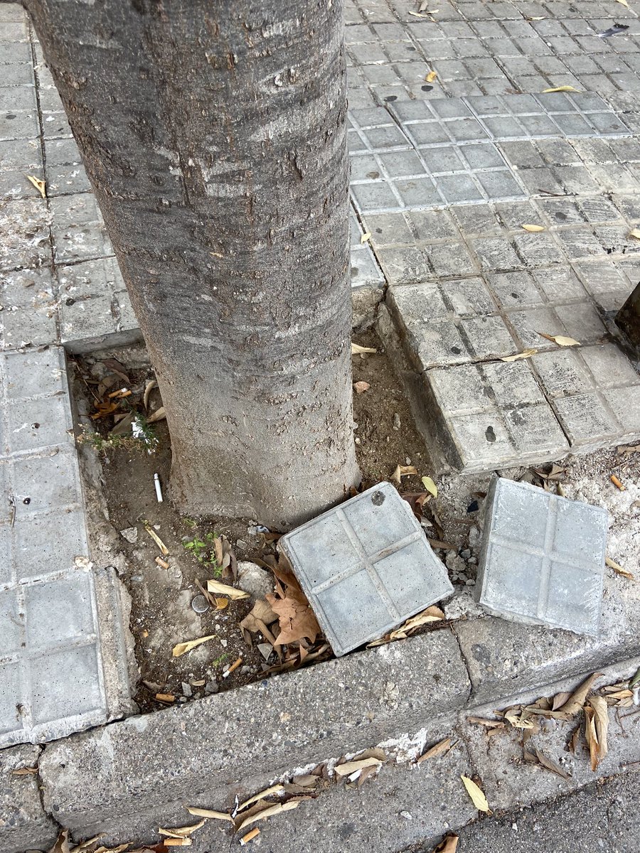 Així tenim els carrers a @el masnou <a href="/PvMasnou/">PLATAFORMA VEÏNAL DEL MASNOU</a> <a href="/FemMasnou/">Fem Masnou</a> <a href="/elmasnou_cat/">Ajuntament del Masnou</a> @ERC_acordmasnou @juntsxcatmasnou <a href="/xarxamasnou/">#XarxaÉsForça 💙 El Masnou</a> <a href="/cupmasnou/">CUP El Masnou</a>