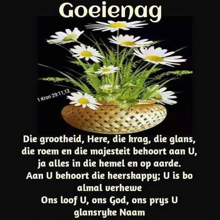 Pieter13H's tweet photo. LEKKER slaap almal 😇😇😇😇😇 https://t.co/gwcZQu3MfS
