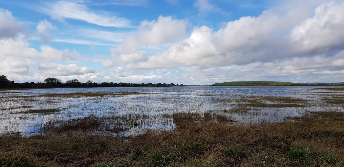 im_coasts's tweet photo. Very grateful for no rain while introducing our "GGU33010: Living on the Edge" #geography students to the #Rogerstown estuary today 🙏👍. Beautiful view over inundated #saltmarsh on this #marshmonday 😊 https://t.co/roMHtQD3Zw