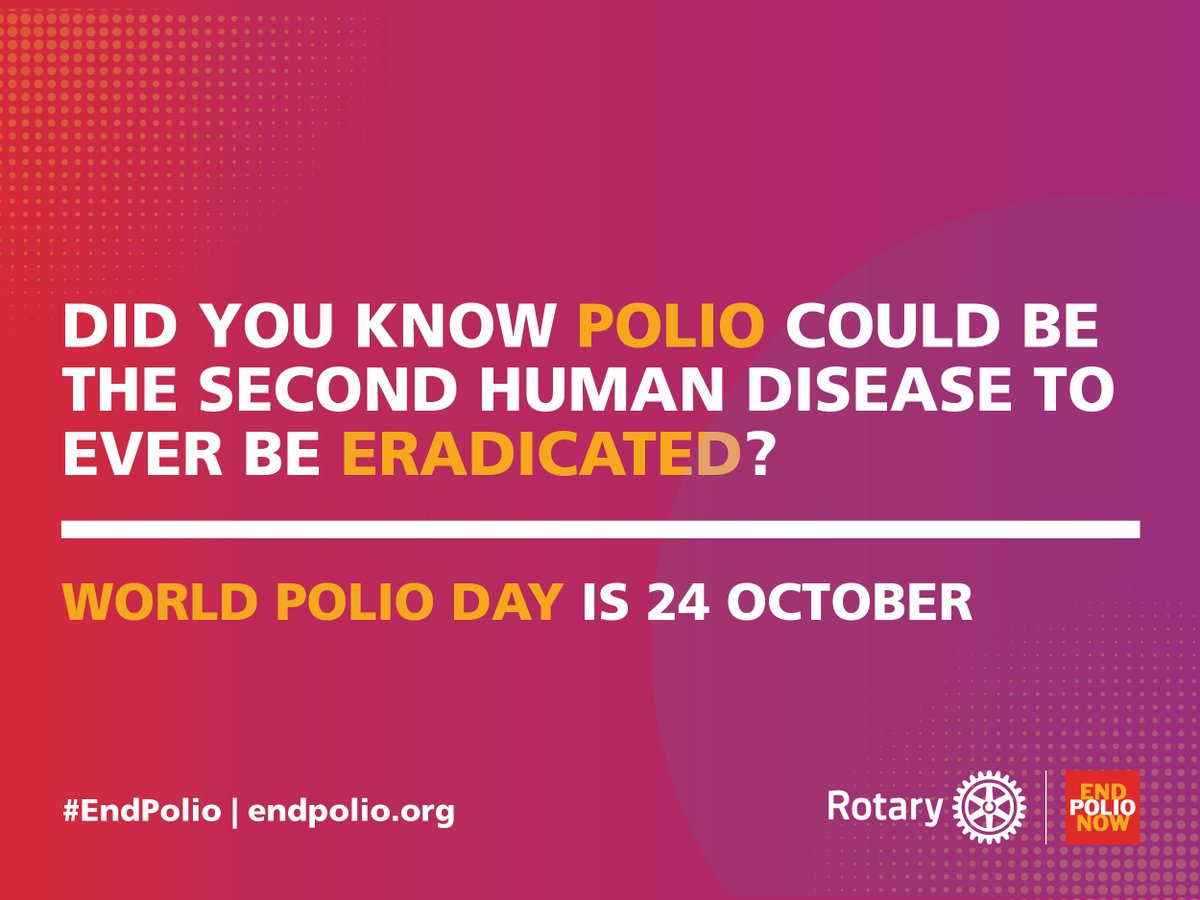 CurtisStone's tweet photo. A polio-free world is possible, but we can achieve it only by taking action together. Join with @Rotary this #WorldPolioDay to @EndPolioNow: https://t.co/t2JCqN2YoI https://t.co/bh5SAX70ql