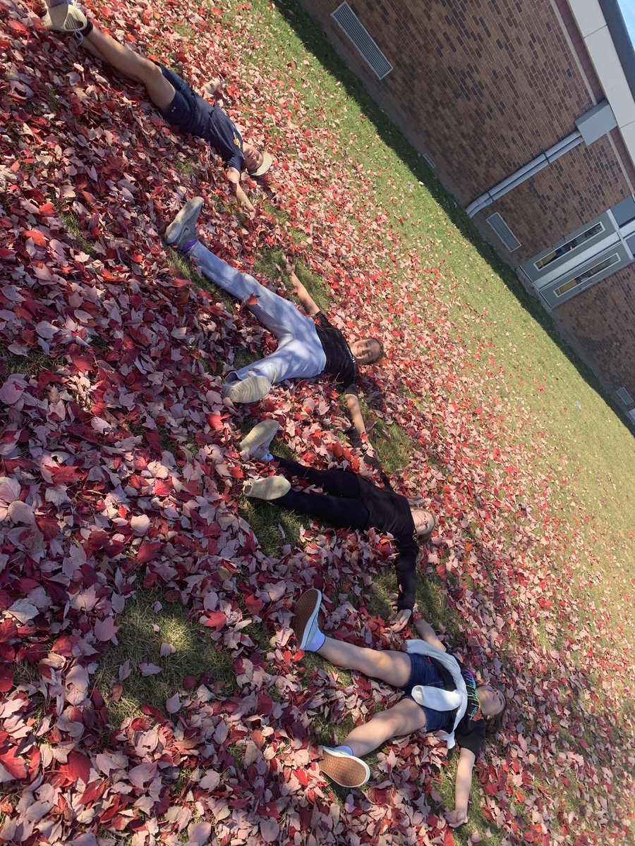 MsChelseaCicero's tweet photo. Unbe-leaf-ably nice weather ☀️🍁 @MrsPalazzolo6 #smslearn #sascompass https://t.co/d6LKjHAF7E