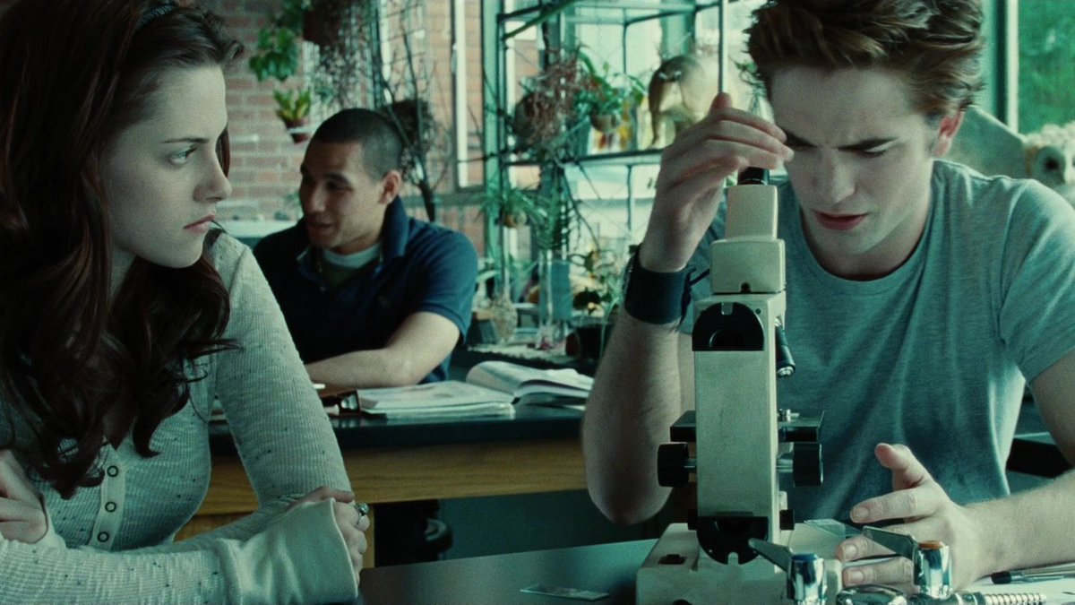 twilightreborn's tweet photo. i've watched twilight so many times that even when i'm not watching it, i can play it in my head https://t.co/9X0pOrOYoL