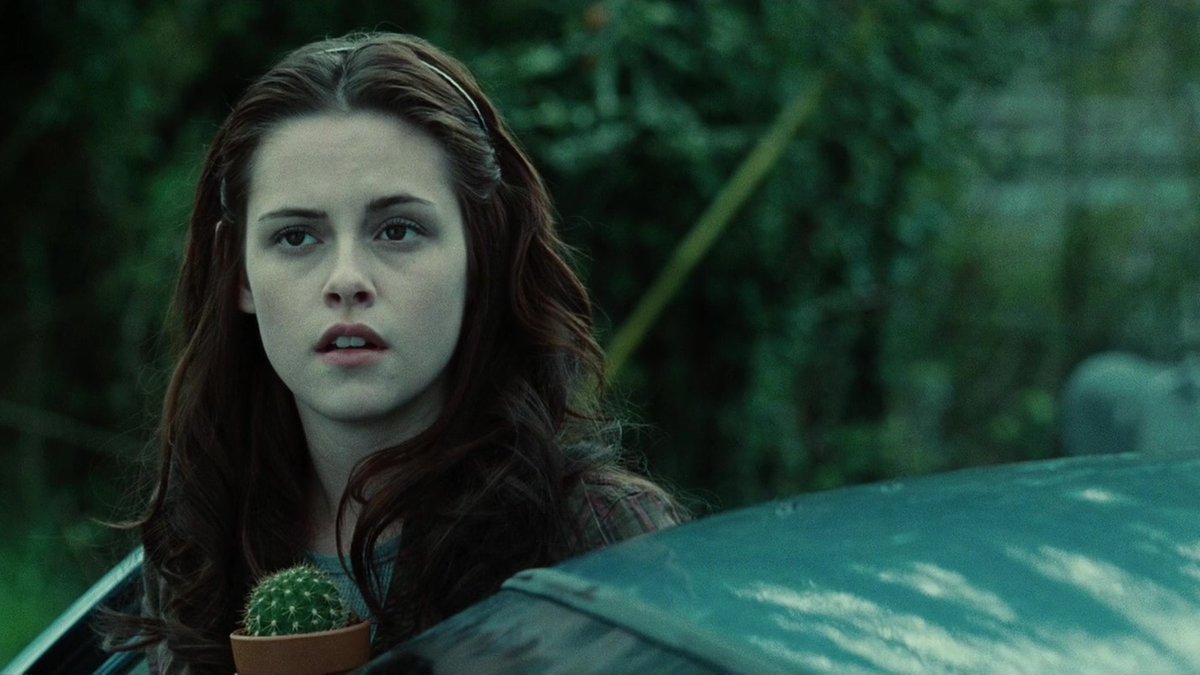 twilightreborn's tweet photo. i've watched twilight so many times that even when i'm not watching it, i can play it in my head https://t.co/9X0pOrOYoL