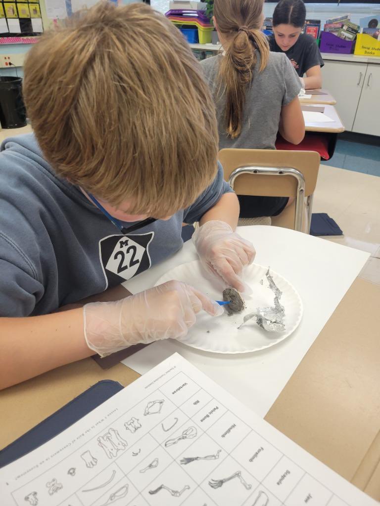 Dr. Leland Wagner tweet media